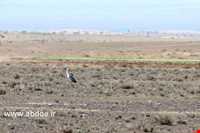 Yakhab protected area