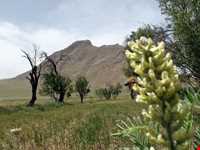 زیارتگاه صالح پیغمبر