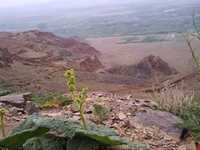 کوه الوند گلپایگان