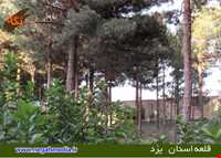 قلعه اسدان ( نیایشگاه ستی پیر )