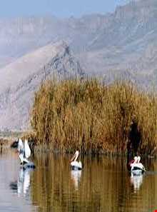 تالاب قوپی بابا علی