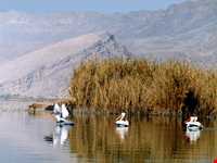 Ghopi Baba Ali wetland