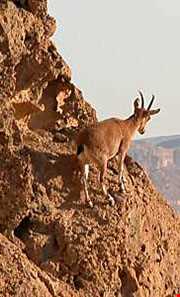 منطقه حفاظت شده سرانی