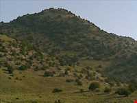 Sarany protected area