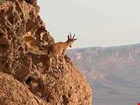 Sarany protected area