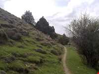 Sarany protected area