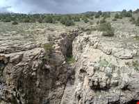 Sarany protected area