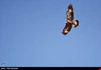 Bahram-e Goor protected area