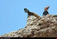 Bahram-e Goor protected area