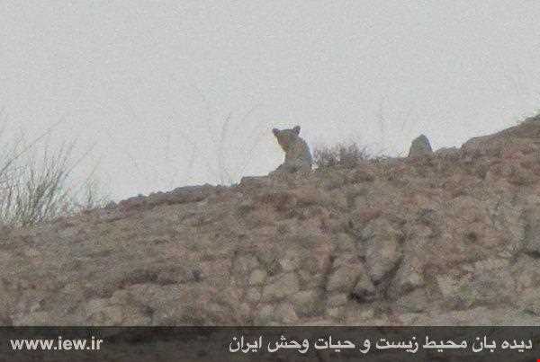 Abas Abad Protected Area