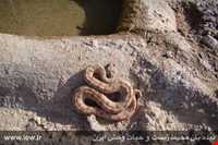 Abas Abad Protected Area