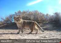 Abas Abad Protected Area