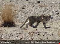 Abas Abad Protected Area