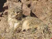 Abas Abad Protected Area