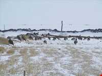 Abas Abad Protected Area