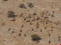 Abas Abad Protected Area