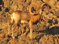 Abas Abad Protected Area