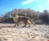 Abas Abad Protected Area