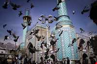 امامزاده صالح