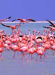 تالاب درگه سنگی