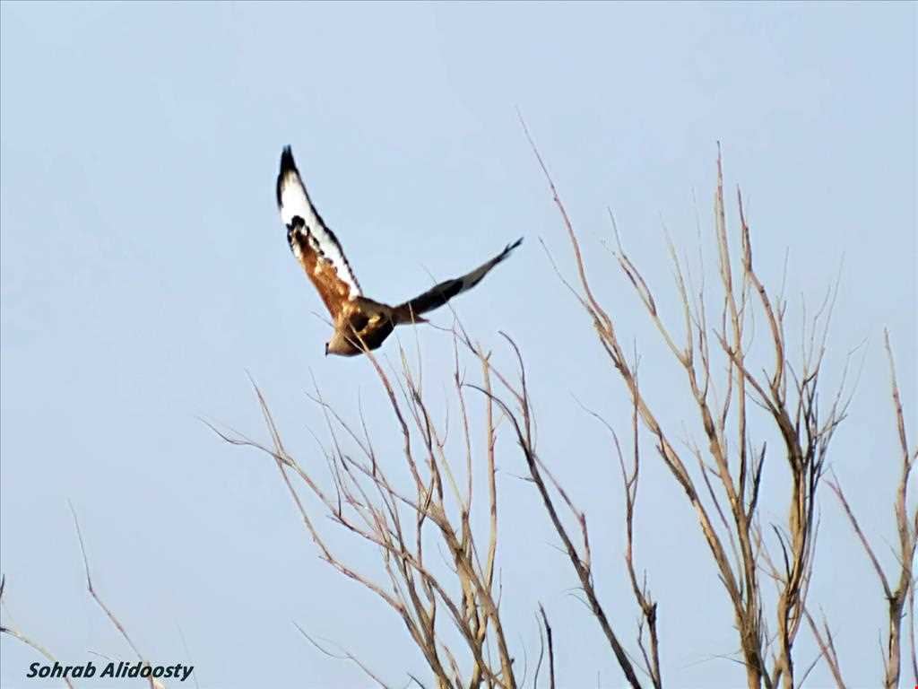 Kahyaz proteted area