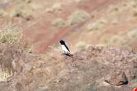 Kahyaz proteted area