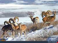 Kahyaz proteted area