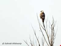 Kahyaz proteted area