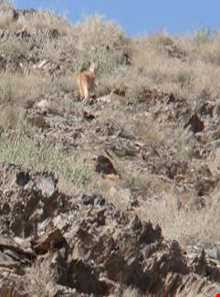 منطقه حفاظت شده خارو