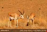 Ghamishlou National Park