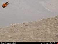 Ghamishlou National Park