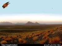 Ghamishlou National Park