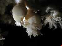 Beton cave ( ezhdeha cave )