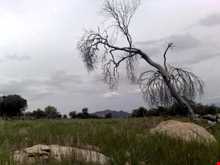 کوه برز و منطقه سیاهچال