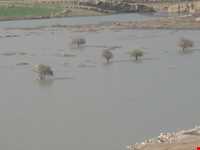 دریاچه سد تنگاب