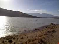 دریاچه سد تنگاب