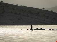 دریاچه سد تنگاب