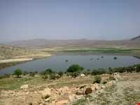 دریاچه سد تنگاب