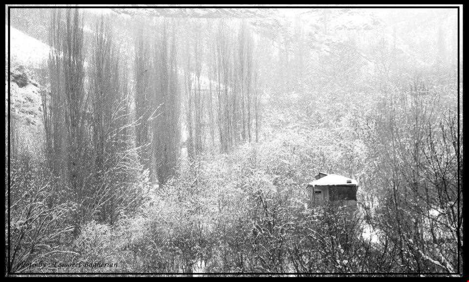 ییلاق طرقبه