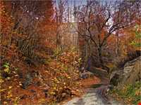 ییلاق طرقبه