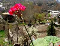 ییلاق طرقبه