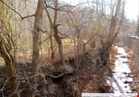 ییلاق طرقبه