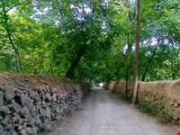 ییلاق طرقبه