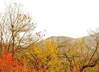 ییلاق طرقبه