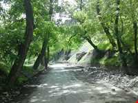 ییلاق طرقبه