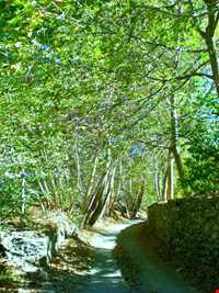 ییلاق طرقبه