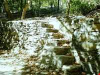 ییلاق طرقبه