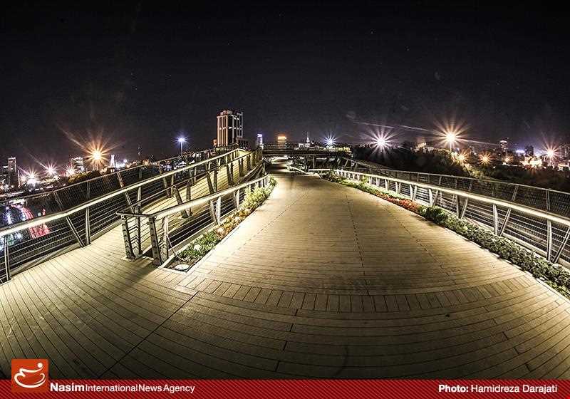 Tabiat (Nature) Bridge