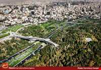 Tabiat (Nature) Bridge