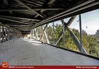 Tabiat (Nature) Bridge